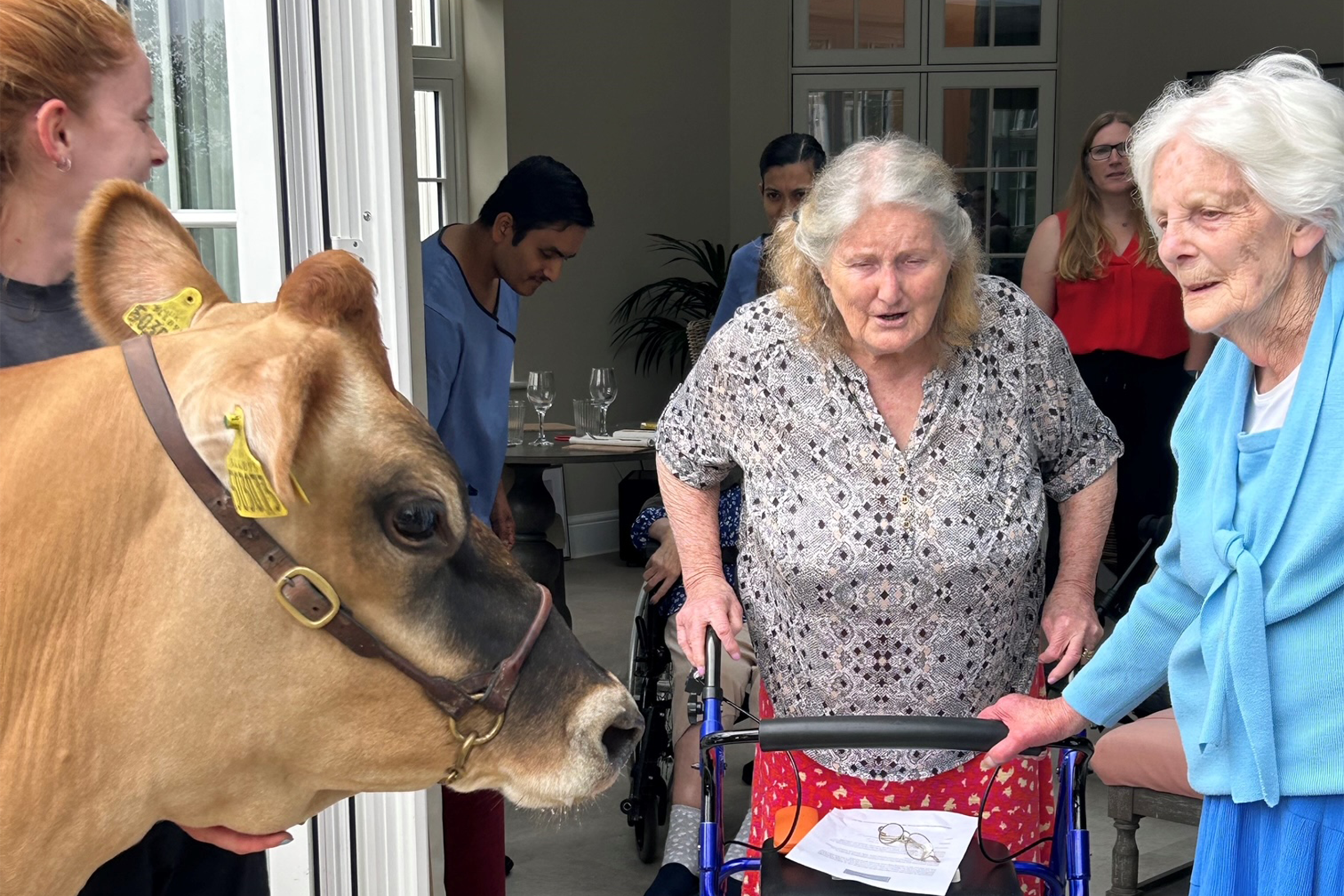 Smiling older adults using walking sticks while spending time together in Elliscombe House